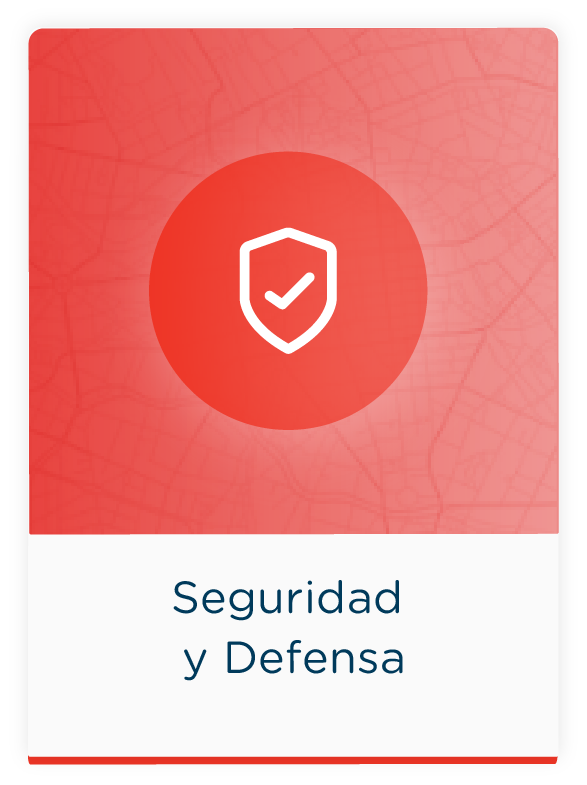 Seguridad y Defensa